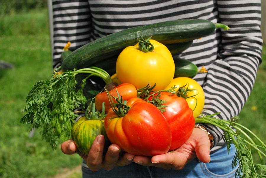 mangiare sano